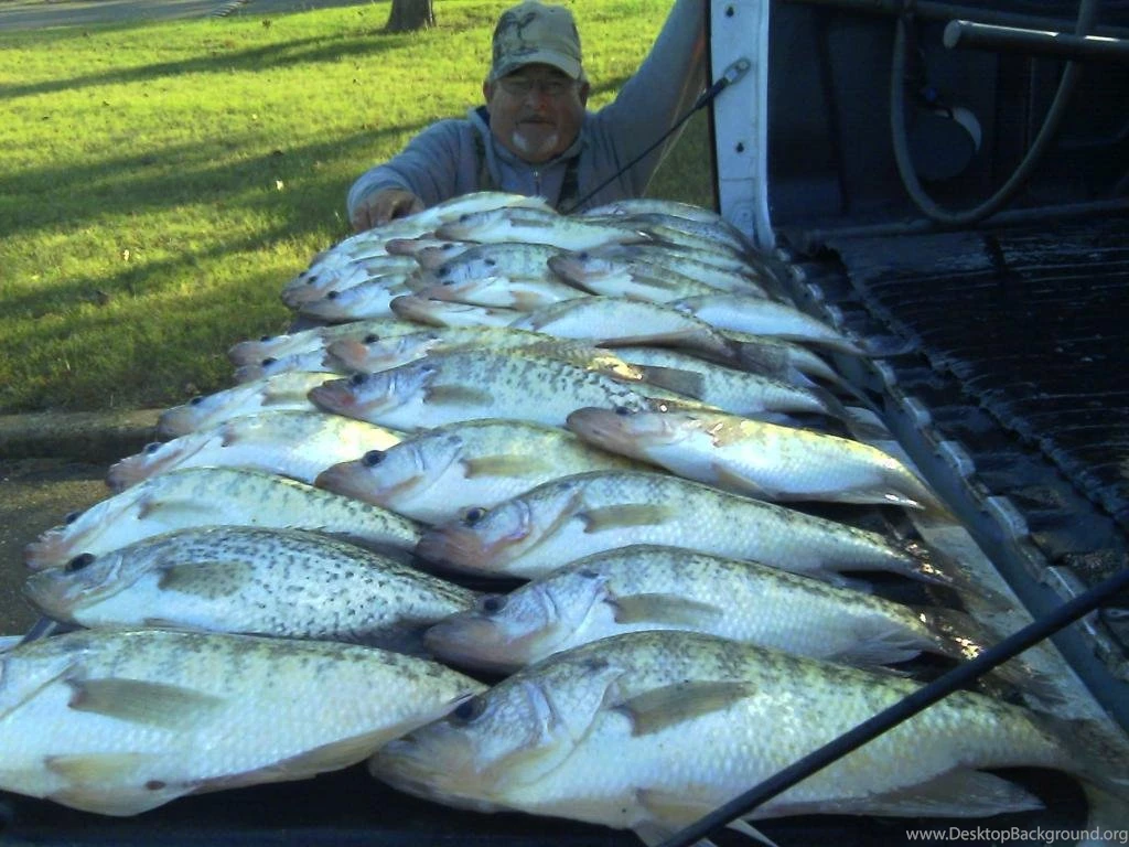Www.crappie101.com