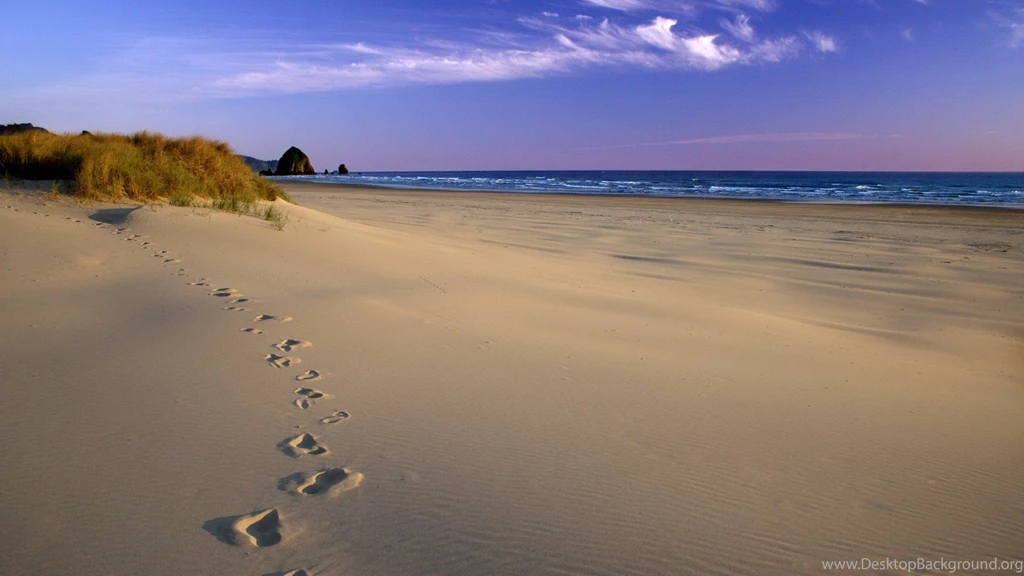 Oregon Coast   Wallpapers