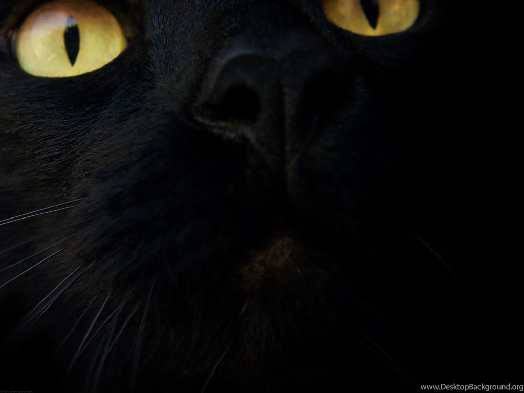 Desktop Wallpapers · Gallery · Windows 7 · Wallpapers Windows 7 ...