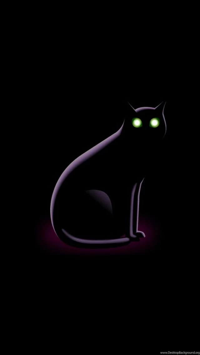 Funny Iphone Wallpaper Backgrounds Lock Screens Small Black Cat ...