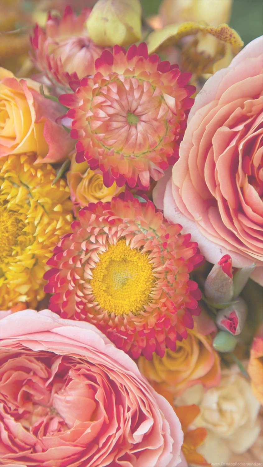 Free Floral Phone Wallpapers • Summer Collection • Capture By Lucy