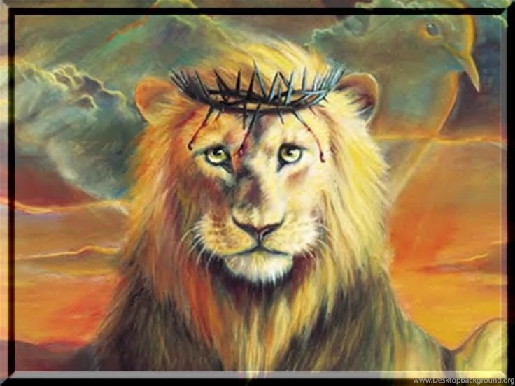 Flaming Lion Of Judah Wallpapers