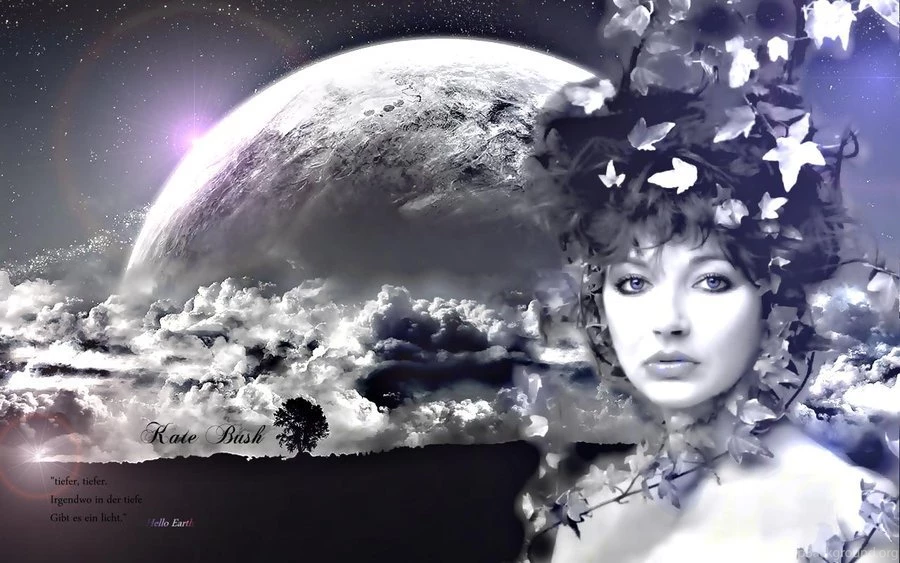Kate Bush Wallpapers By Luckyapfel611 On DeviantArt