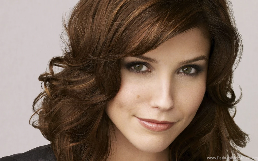 Sophia Bush HD Wallpapers For Desktop Of American Actress