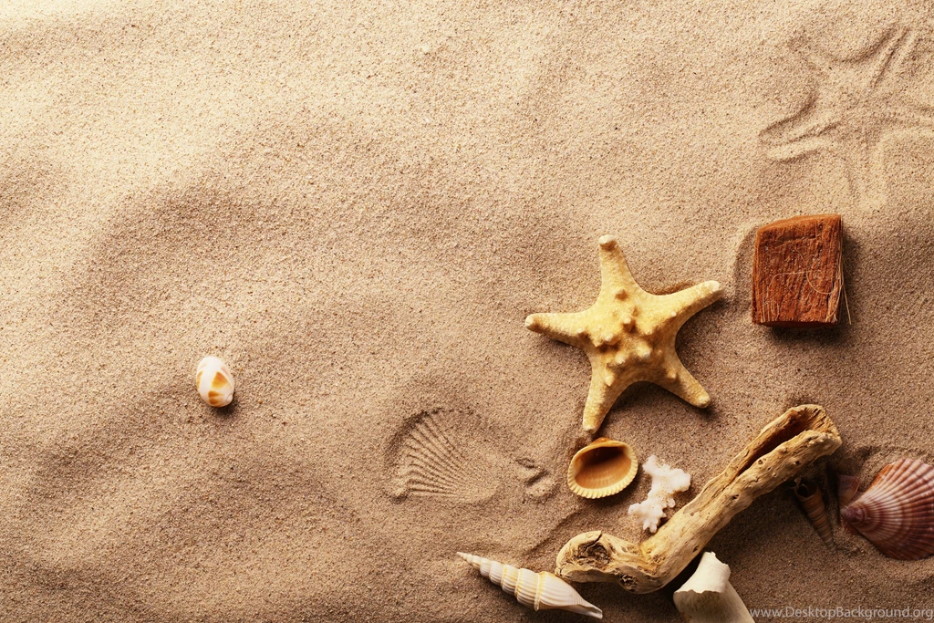 Sea Shells Wallpapers Desktop Backgrounds Kemecer.com