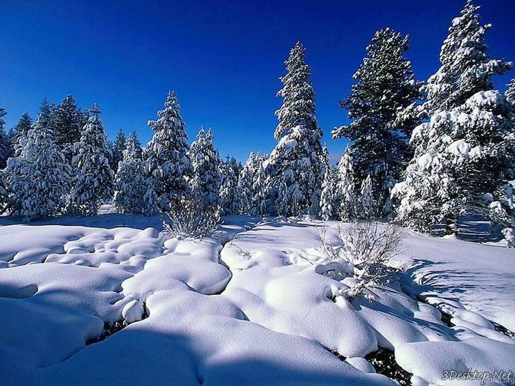 3D Animation 7 Cool Hd Wallpapers Hivewallpaper.com