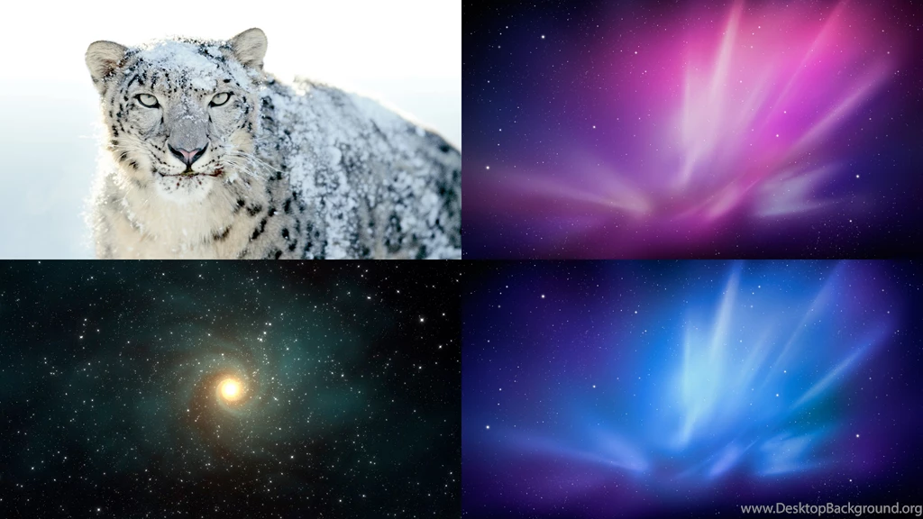 Snow Leopard Wallpapers Pack By Akol12 On DeviantArt