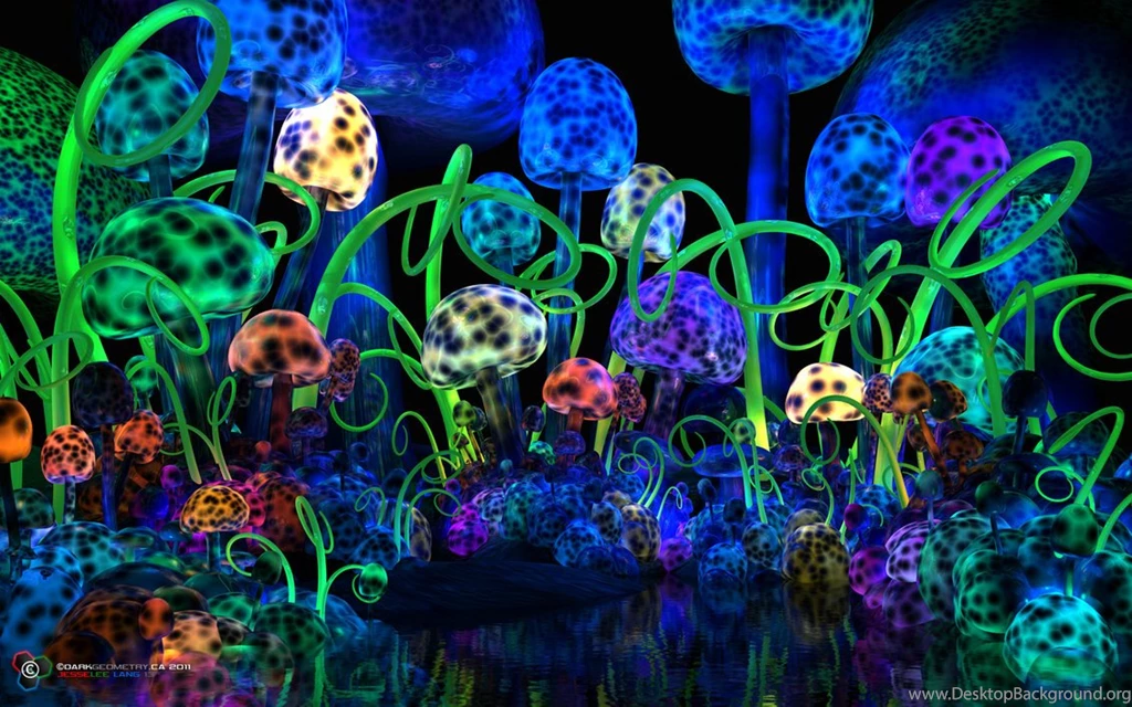 Trippy Mushroom Backgrounds Wallpapers Zone
