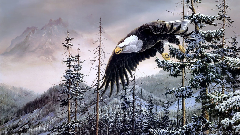 Eagle On A Tree Wallpapers 2560x1440 ImgMob