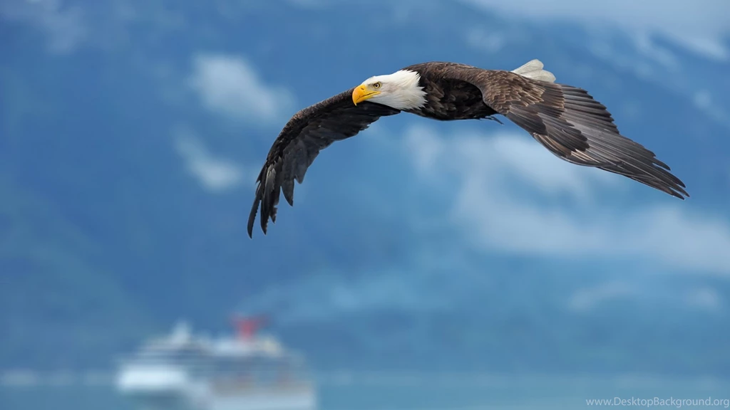 Eagles Wallpapers 1920x1080 Alaska, Eagles, Fishing, Bald, Eagles ...