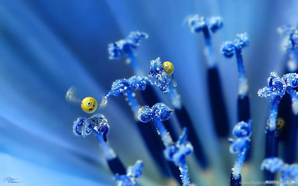 Free Wallpapers Free Art Wallpapers 3D Desktop Wallpapers 2 ...
