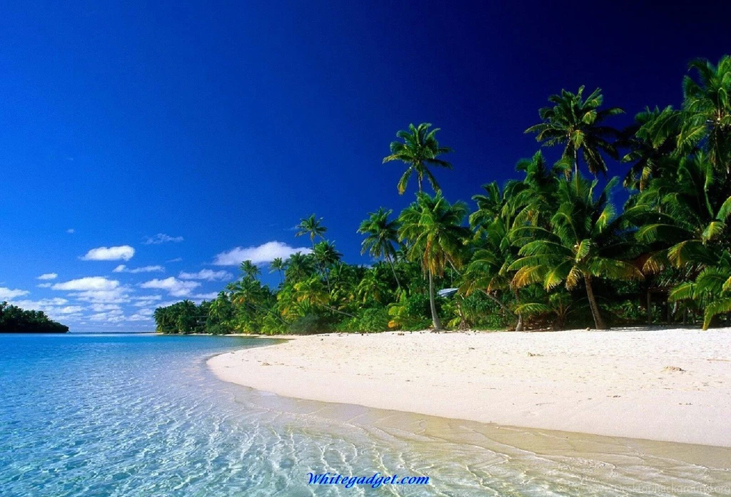 Amazing Picture HD For PC Wallpapers Free 2016