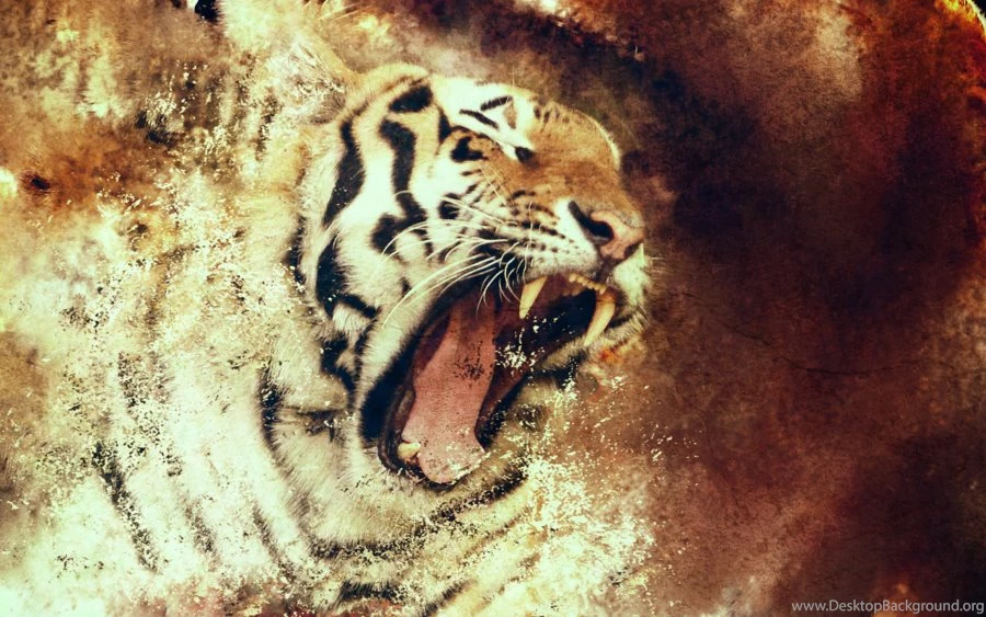 Tiger Wallpapers By Sdort hatred On DeviantArt