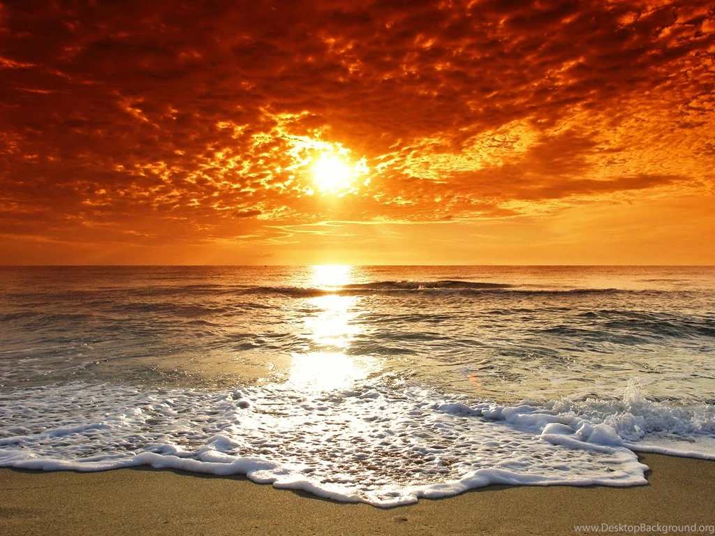 Summer Beach Backgrounds   Wallpapers Cave