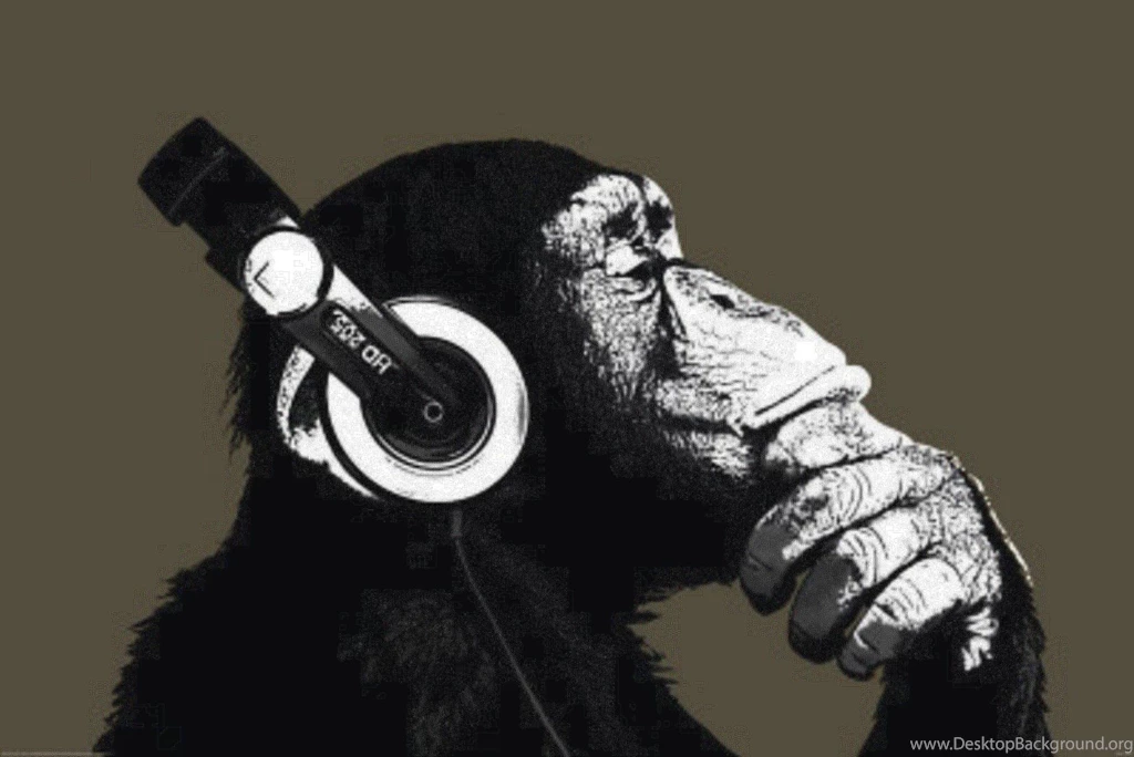 Ape >> HD Wallpaper, Get It Now!