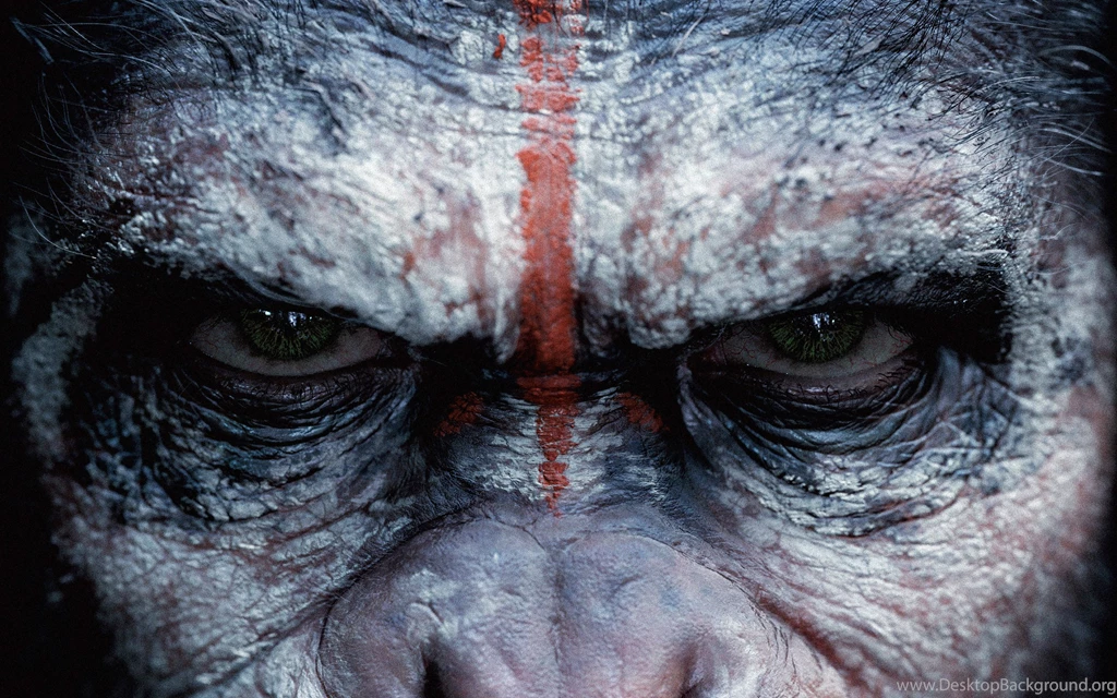 Dawn Of The Planet Of The Apes Wallpapers
