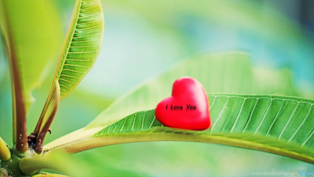Love Hearts Photos 2016 HD Backgrounds And Wallpapers
