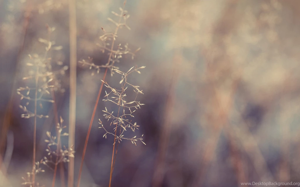 Hipster Wallpapers HD HD Wallpapers
