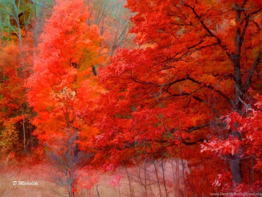 525 Nature HD Wallpapers