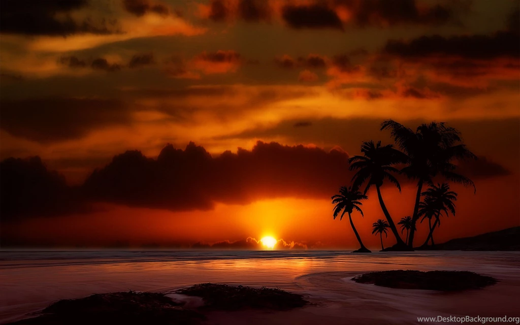 More Beautiful Free Paradise Wallpapers