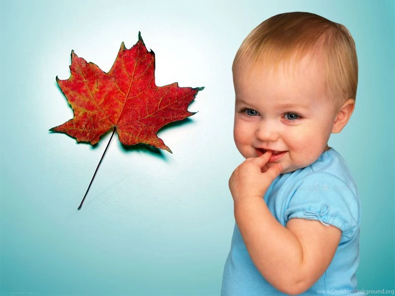 Latest Innocent Baby Wallpapers 2012:Best Wallpapers HD ...