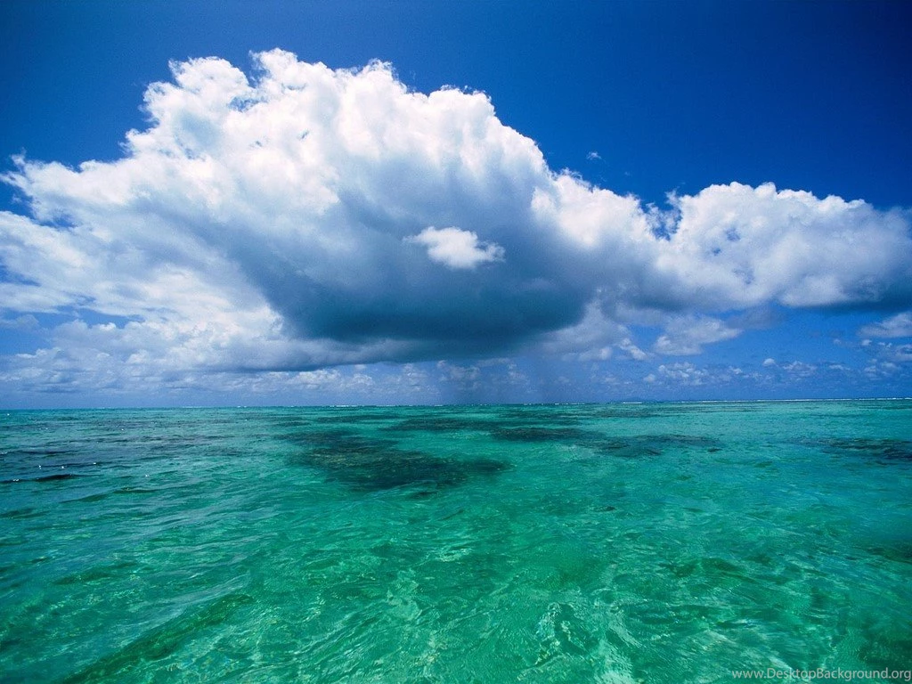 All About Beach: Paradise, Island Of Tahaa,