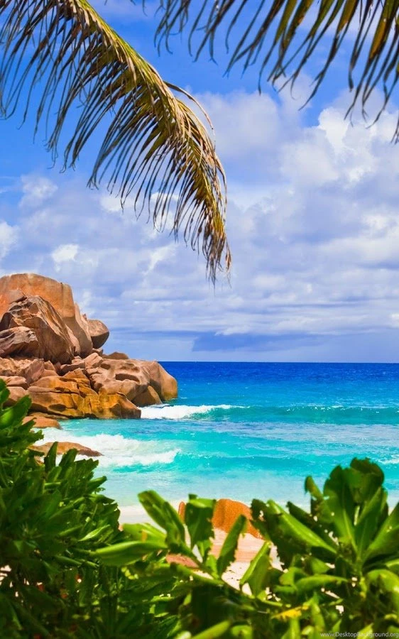 Paradise Island Live Wallpapers Android Apps On Google Play