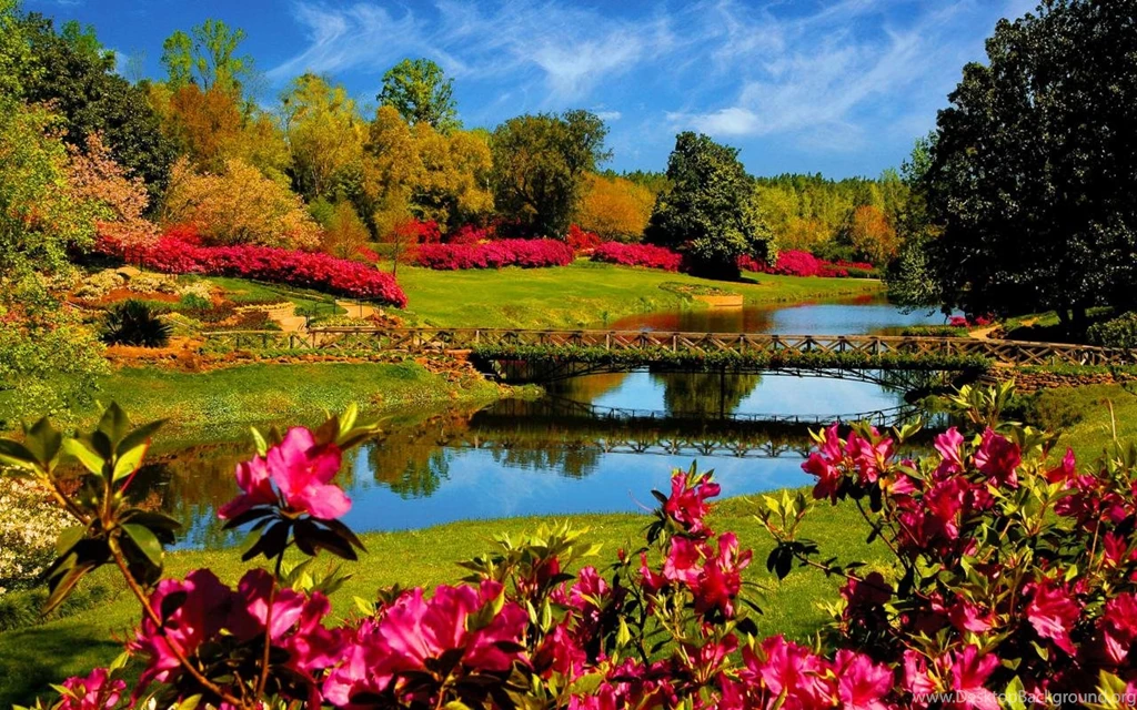 Spring Flower Wallpaper Desktop For Desktop