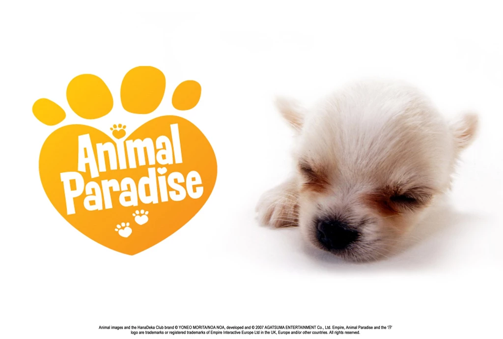 Wallpapers Snoopie Next Image Snoopy Dog Cartoon Home Sleepy ...