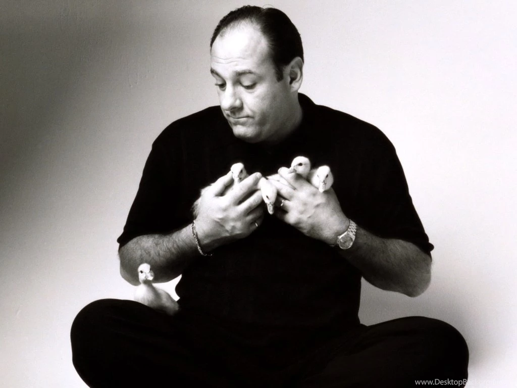 James Gandolfini HD Desktop Wallpapers
