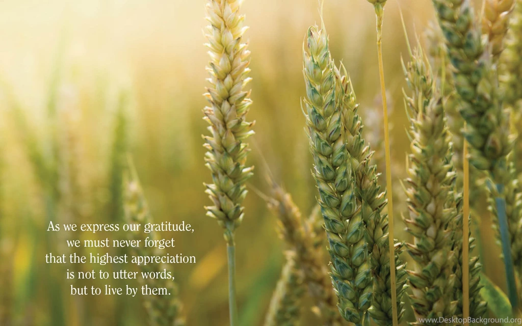 11.1.13} November Desktop Backgrounds
