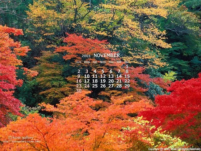 2003 November Desktop Calendar November Calendar Wallpaper10 ...