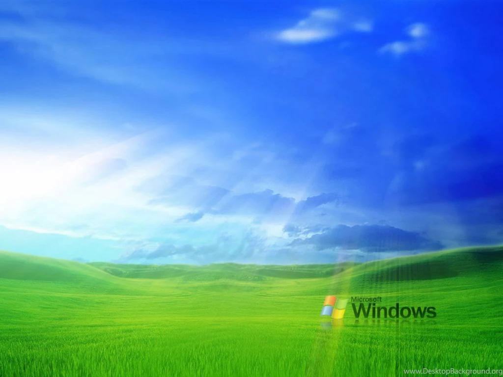 Grass Windows XP Wallpapers   Totalinfo90