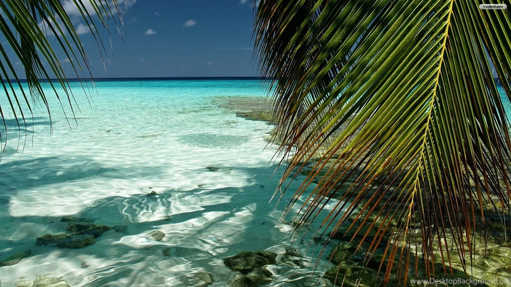 Free Tropical Desktop Backgrounds Wallpapers Cave