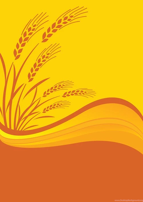 Golden Wheat Vector Backgrounds Set 06 Vector Backgrounds Free ...