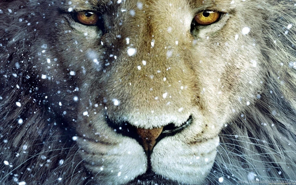 The Chronicles Of Narnia: The Voyage Of The Dawn Treader Wallpapers ...