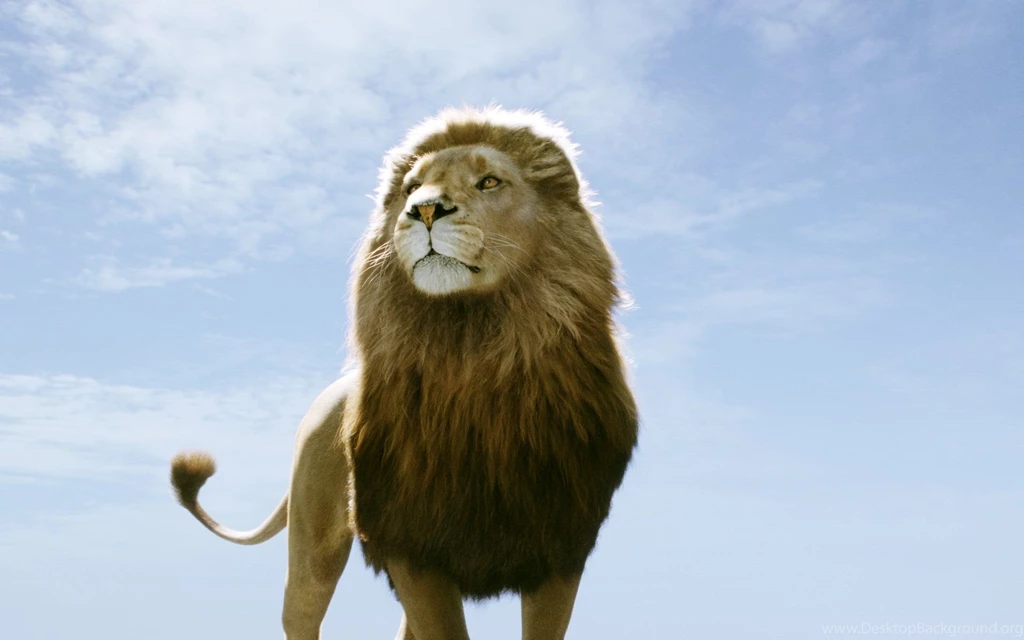 Narnia Wallpapers Wallpapers Cave