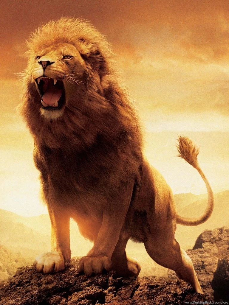 768x1024 Movie/The Chronicles Of Narnia: The Lion, The Witch And ...