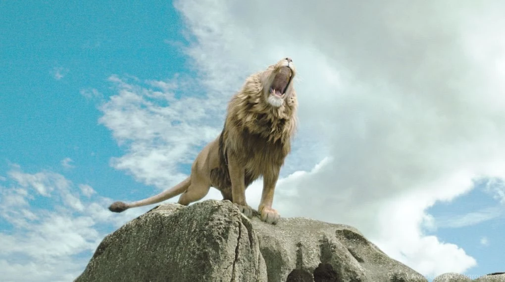The Chronicles Of Narnia: The Lion, The Witch And The Wardrobe ...