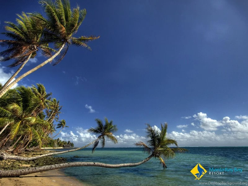 Manta Ray Bay Hotel & Yap Divers In Yap, Micronesia :: Wallpapers