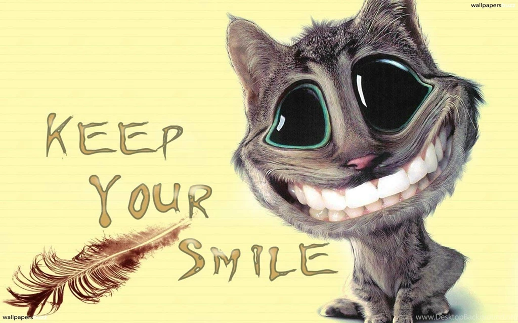 Cat Smiles Wallpapers HD