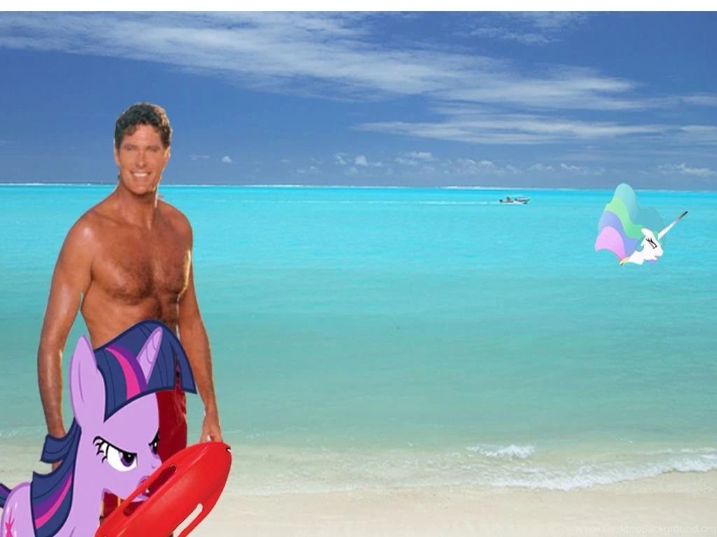 362352 Baywatch, David Hasselhoff, Magic, Meme, Ponies In Real ...