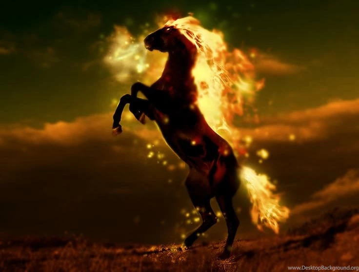 Horse On Fire By Ravr.deviantart.com On @deviantART