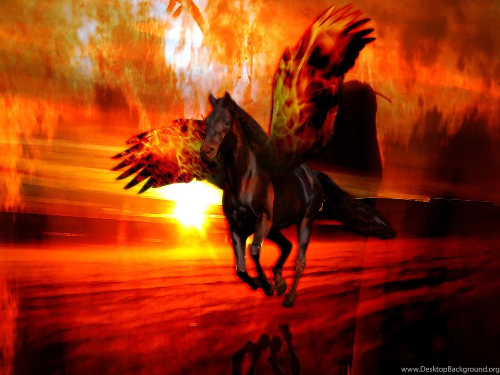 Winged Fire Horse Wallpaper, Size: 1024x768