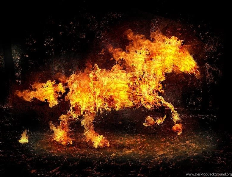 Horse Fire Pack 2 Wallpapers Android Apps And Tests AndroidPIT