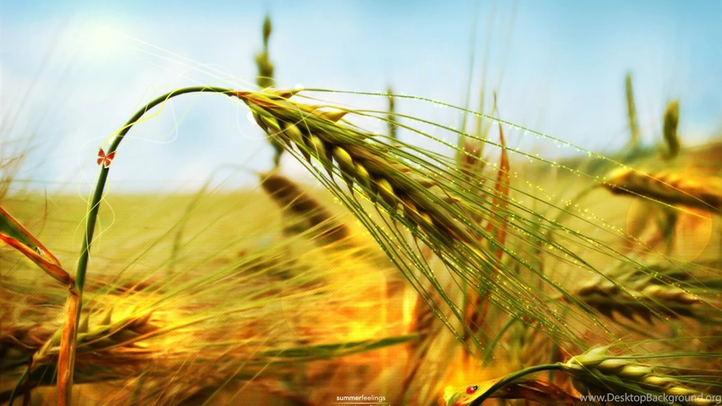 Cool Design Wallpapers Selection
