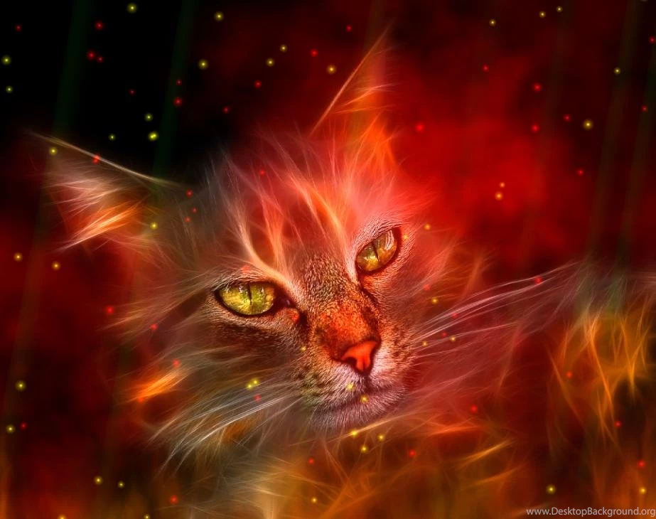 Special Fire Wall Downloads