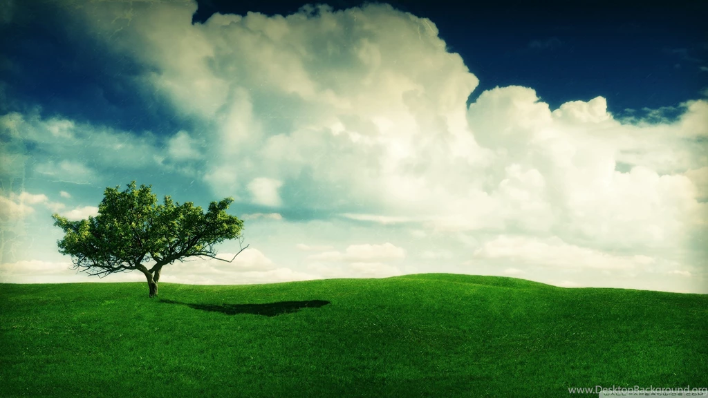 Iphone 5, Landscape, Full, 2560x1440 HD Wallpapers And FREE Stock Photo