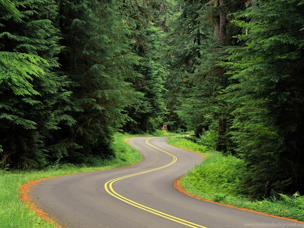 Nature Beautiful Road