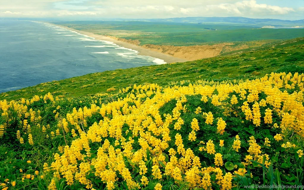Most Beautiful Places In The World « Best Wallpapers 4 You ...